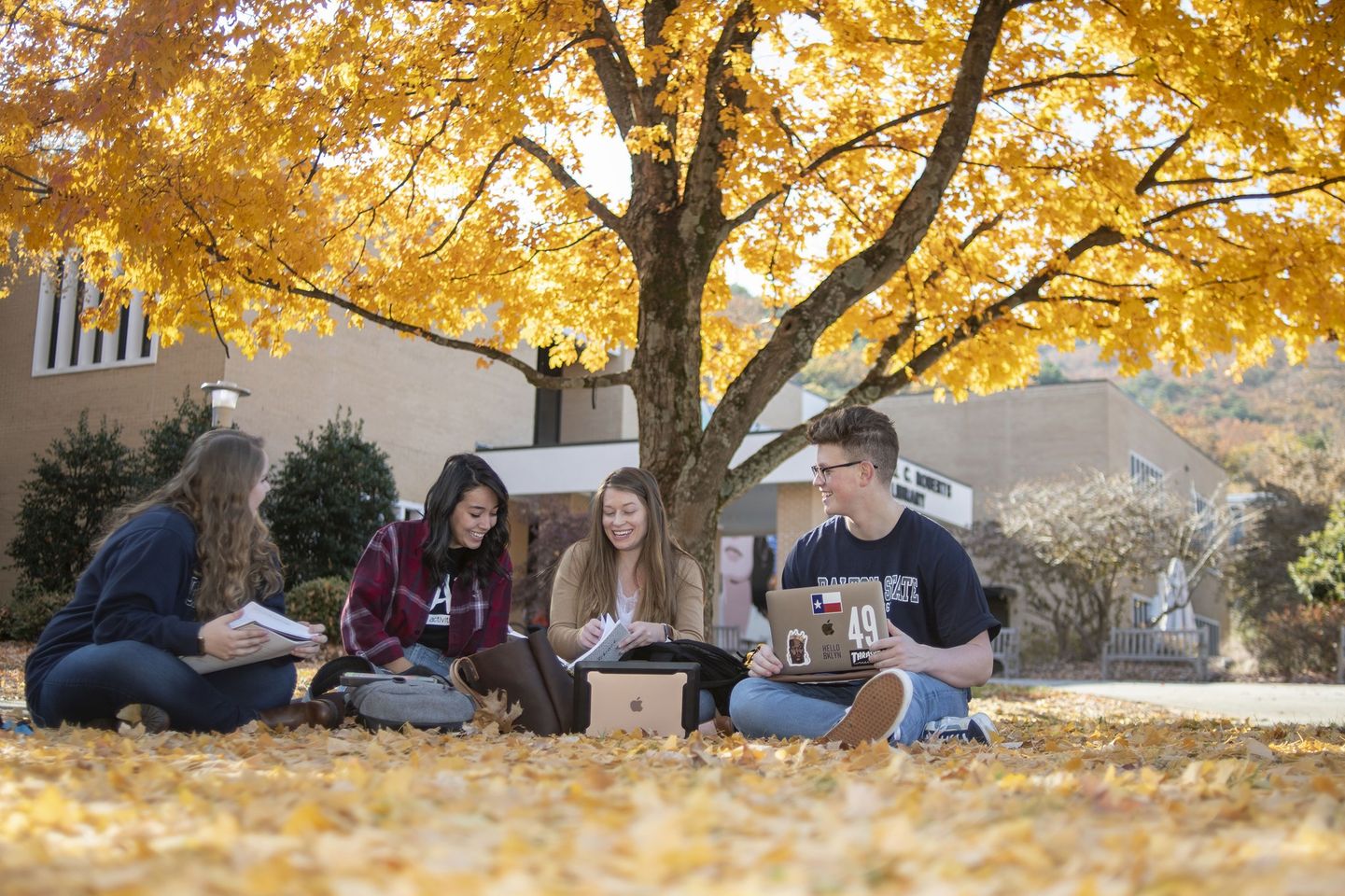 4 Students under the tree at Dalton State College