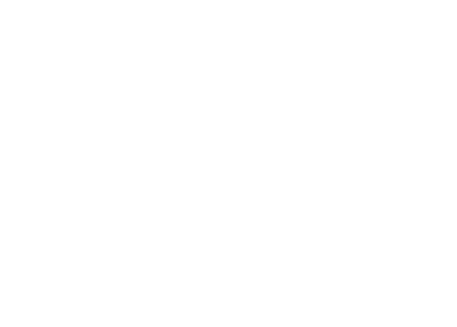 dalton state logo