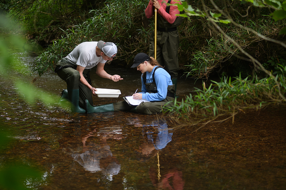 Students conducting research in outdoor waterway