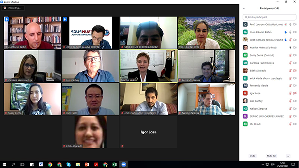 A Zoom meeting screenshot