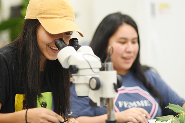 Students using microscope